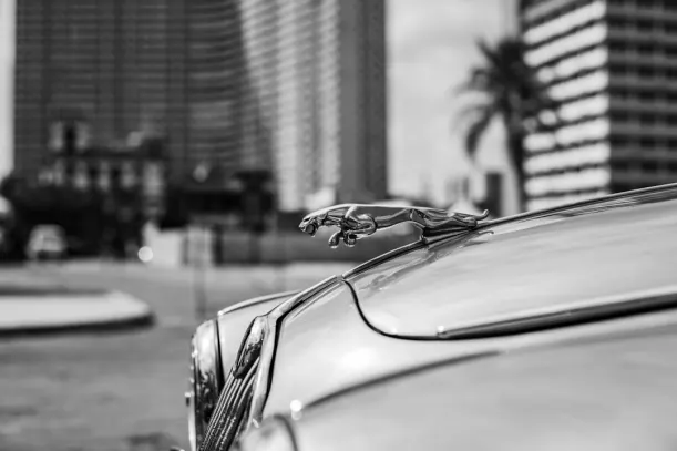 20Bets Kasyno Aplikacja Android/iOS